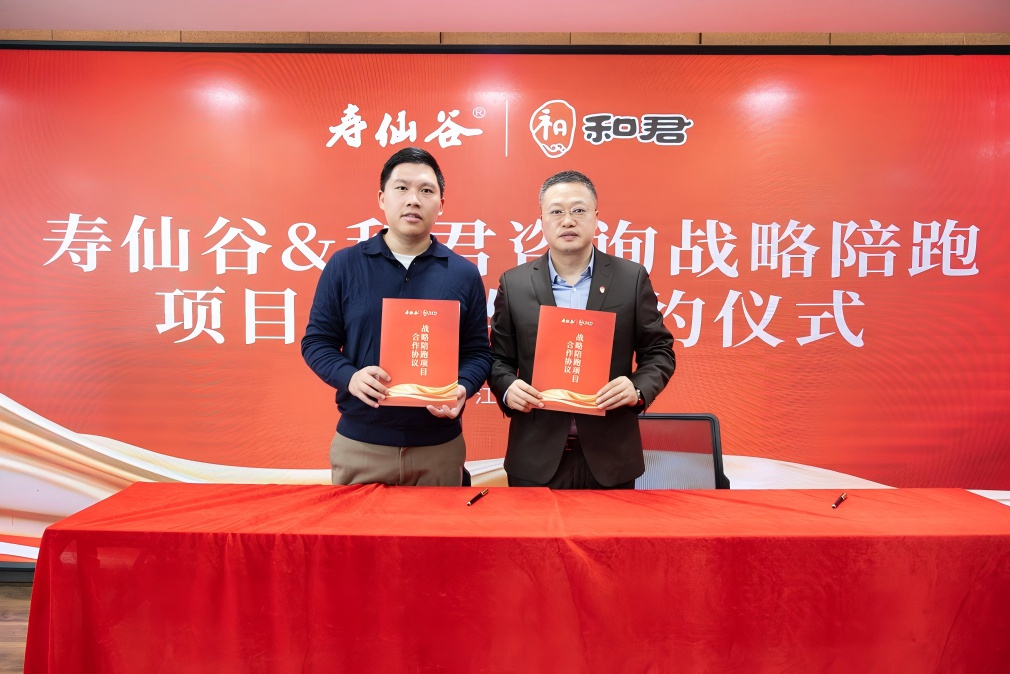 战略执行陪跑服务(战略执行五步方案案例)平凉市