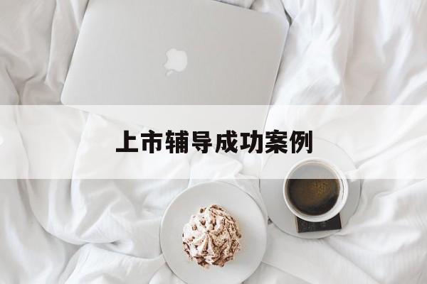 上市辅导成功案例(上市辅导成功后肯定会上市吗)平凉市